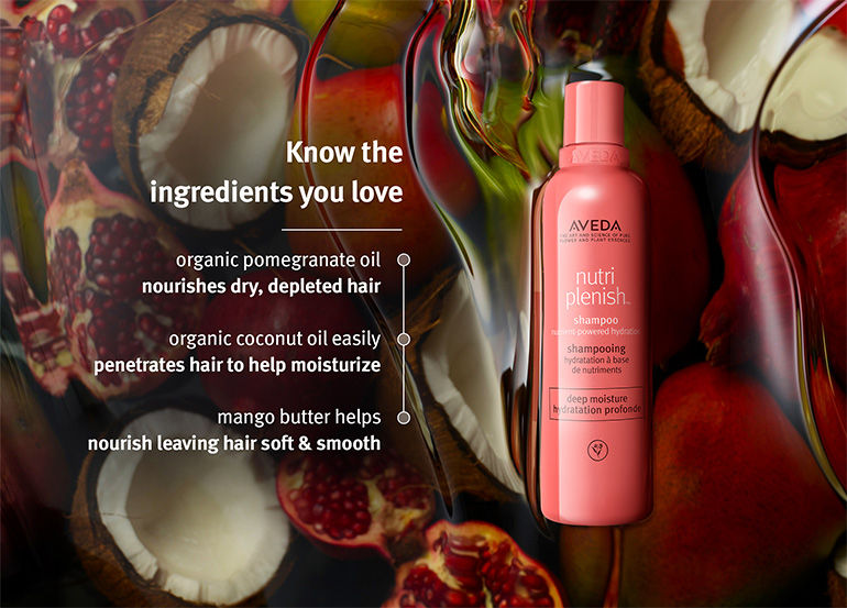 Buy Aveda Nutriplenish Deep Hydration Shampoo for Dry & Frizzy