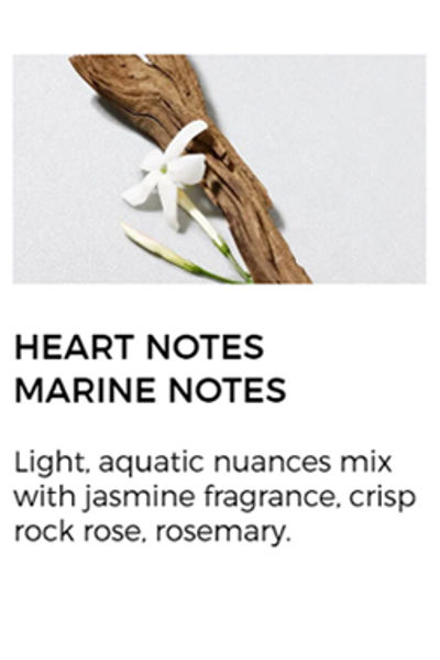 Buy Giorgio Armani Acqua Di Gio Eau De Toilette For Him Online