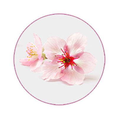 Extracts of Aloe Vera